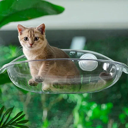 Cat Hammock Bed Glass Hanging Basket Clear Pet Nest Elevated Sleeping Bed