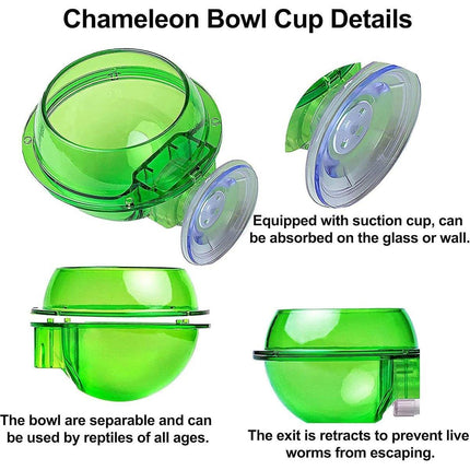 Suction Cup Reptile Feeder Anti-Escape Reptiles Water Bowl Live Fodder Container