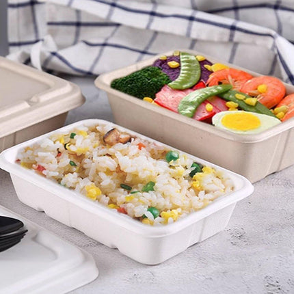 50PCS Square Disposable Lunch Box Thickened Takeout Salad Bowl Natural Colour