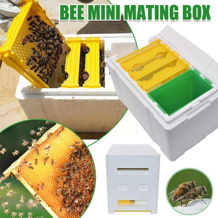Foam Beekeeping Breeder Box Pollination Bucking Box Beehive Tool