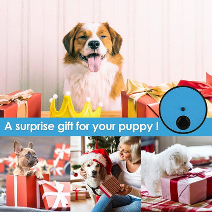 Rotating Pet Slow Feeder Toy Nail Sharpening Scraper for Cats and Dogs Supplies