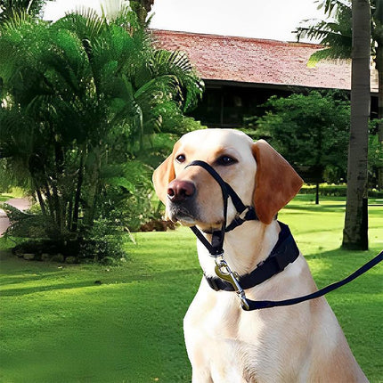 Pink Dog Training Head Collar Halter Stop Pulling Training Tool Harness Strap Leader - Aimall