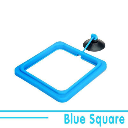 Fish Feeding Ring Aquarium Fish Tank Feeder Floating Fish Food Feeder Fish Food Blue - Aimall