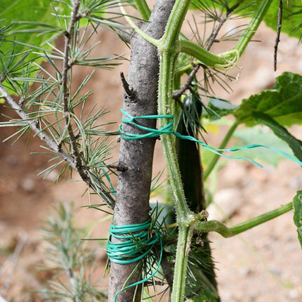 5Rolls Plant Tying Strap Garden Plastic Rope for Climbing Plant Support Fixed