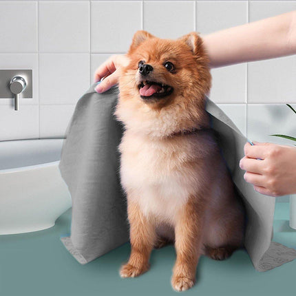 2PCS Quick Dry Absorbent Dog Bath Towels Soft Printed Cat Towel Set Pets