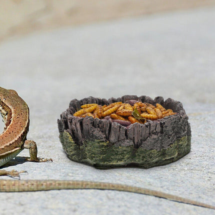 Reptile Drinking Basin Resin Turtle Snake Lizard Feeding Dish Bowl Water Feeder