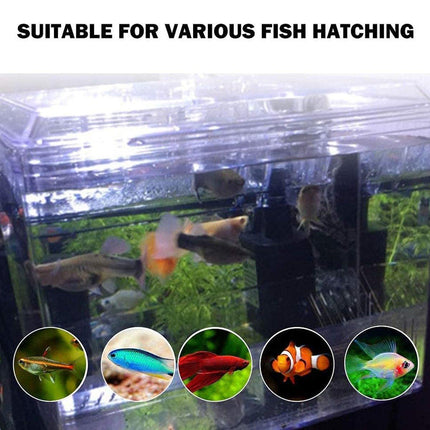 Outboard Isolation Breeding Box Guppy Hatch Feeding Pneumatic Electric Fish Tank
