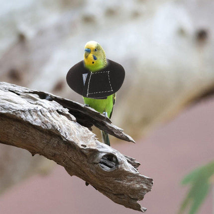 Parrots Birds Anti Bite Pecking Protection Collar Adjustable Pet Safety Guard