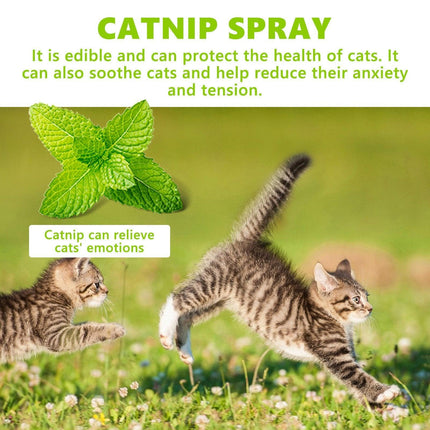Catnip Spray Relieves Cat Anxiety Boosts Vitality Pet Health Care Natural Spray