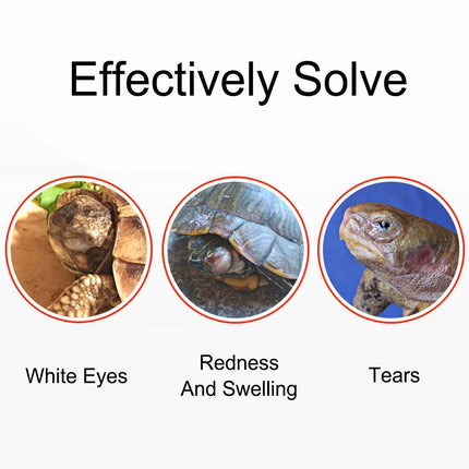 8ml Chloramphenicol Eye Drops for Reptiles Tortoises Eye Infection Treatment