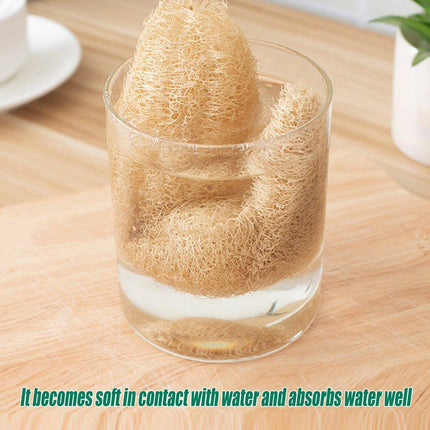 5Pcs Natural Loofah Luffa Loofa Exfoliating Shower Sponge Body Bath Scrubbers - Aimall