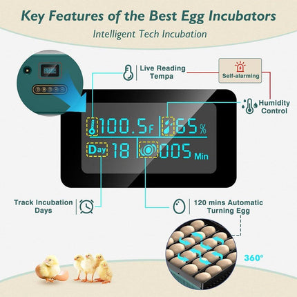 Fully Automatic Egg Incubator New 25 Capacity LED Display for Hen Duck Quail