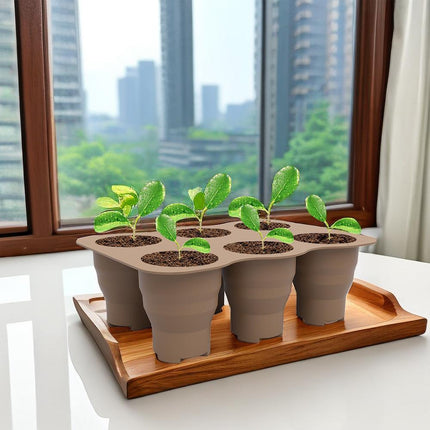 3pcs Foldable Silicone Plant Germination Seed Starter for Vegetables Flowers