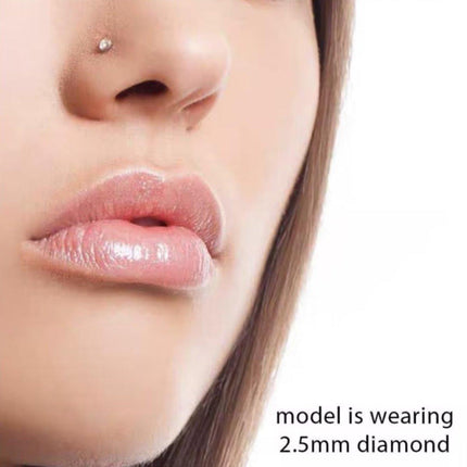 Stainless Steel Nosepiece with Gold Nose Stud Stylish Piercing Jewellery Women