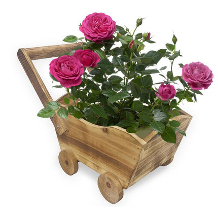 Cartoon Flower Pot Wooden Pot for Plants Cute Car Shape Decorative Planter Pot
