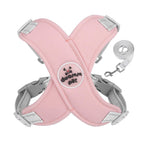 Pink-S