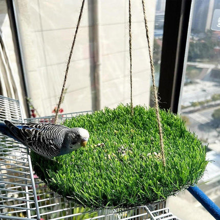 Parrot Turf Hammock Climbing Toy for Hamster Pet Bed Hanging Swing for Small Pet
