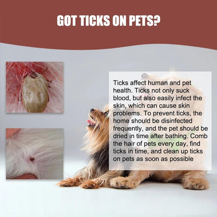 2pcs Pet Bug Catcher Tool Cat Grooming Insect Catcher for Safe Pest Control