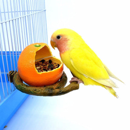 Parrot Feeding Bowl Fruit Shaped Water Food Container Dish Cage Bird Feeder Cup - Aimall