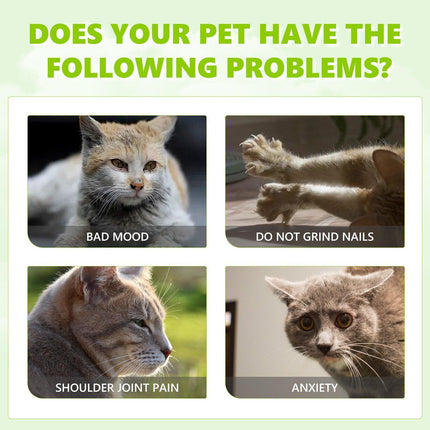 Catnip Spray Relieves Cat Anxiety Boosts Vitality Pet Health Care Natural Spray