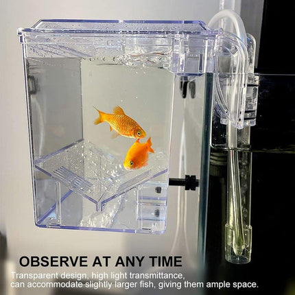 Outboard Isolation Breeding Box Guppy Hatch Feeding Pneumatic Electric Fish Tank