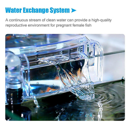 Outboard Isolation Breeding Box Guppy Hatch Feeding Pneumatic Electric Fish Tank