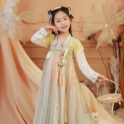 Girls Chinese Hanfu Summer Dress Embroidered Traditional Tang Suit Fairy Costume