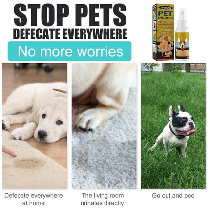 Pet Toilet Training Spray Inducer Dog Poops Cat Pee Urine Positioning Defecation - Aimall