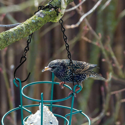 15PCS Metal Hanging Chains for Plants Flower Pot Basket Garden Bird Feeder