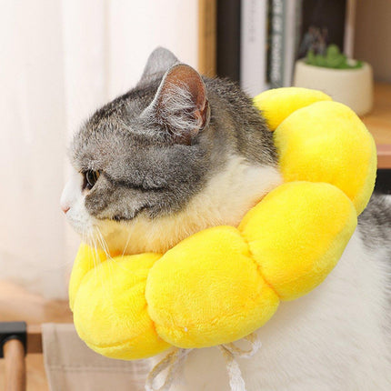 Sunflower Elizabeth Collar for Cats and Dogs Anti Licking Sterilization Headgear