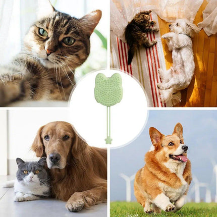 Double Hand Cat Bath Gloves Hair Removal Comb Grooming Floating Hair