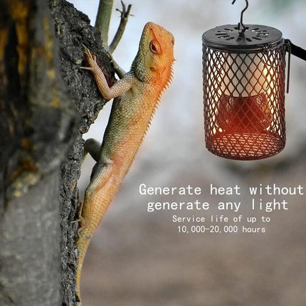 Reptile Ceramic Heat Lamp with Anti-hot Cage Light Holder Switch Set Brooder Pet - Aimall