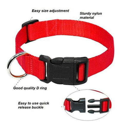 M Size Dog Puppy Pet Collar Adjustable Nylon Toy Medium pink blue red black - Aimall