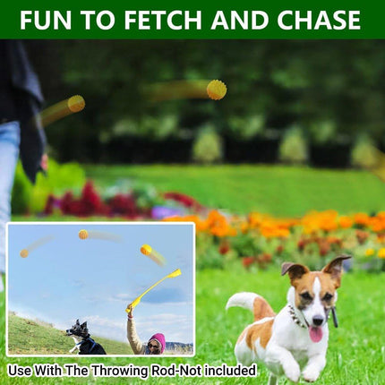 Dog Chew Ball Toy Elastic Teething Ball with Sound Interactive Puppy Play
