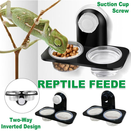 Dual Reptile Food and Water Bowl with Suction Cup Detachable Feeder for Lizards