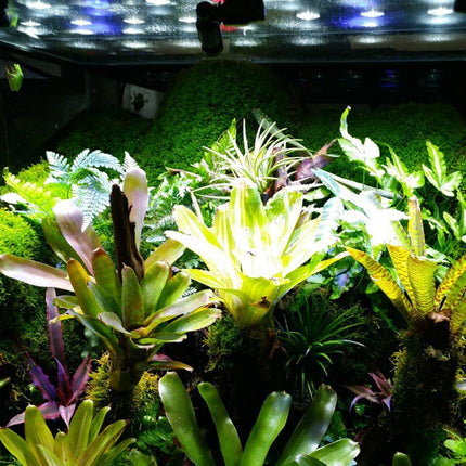 Reptile Pet Rainforest Tank Ecological Landscape Spray Atomization Mist System