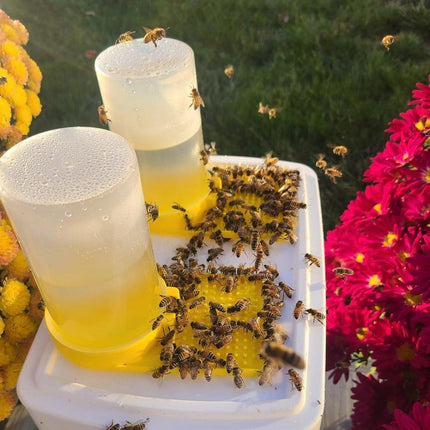 10PCS Beekeeping Tools Hive Entrance Feeder Bee Feeding Trough Beehive Door Tool