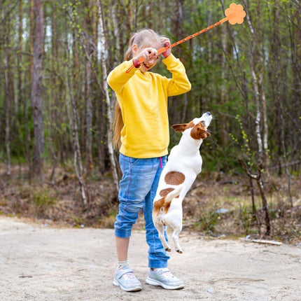 2pcs Dog Training Sticks for Dogs Pet Supplies Trainer Tools Canine Training
