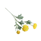 Light Yellow