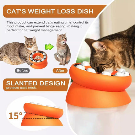 Pet Slow Feeder Interactive Cat Dog Food Dispenser Puzzle Toy for Healthy Eating