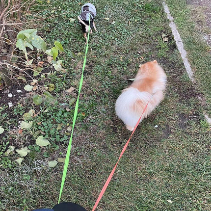 Retractable Lead Leash 360 Swivel Dual Doggie One-to-Two Traction Rope Pet Dog
