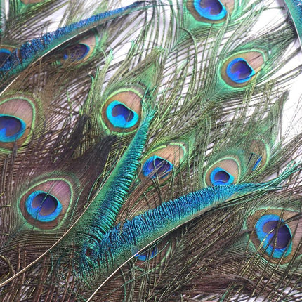 5-10PCS Natural Peacock Tail Eyes Feathers 75-80cm 26-30cm DIY Craft Vase Decor - Aimall