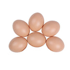 6PCS