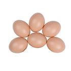 Plastic Painting Eggs DIY Toy Fake Eggs Colourful Drawing Craft Durable Egg