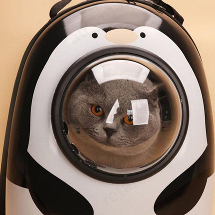 Dog backpack carrier with transparent space design for cats and dogs.