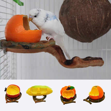 Parrot Feeding Bowl Fruit Shaped Water Food Container Dish Cage Bird Feeder Cup - Aimall