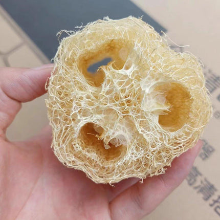 5Pcs Natural Loofah Luffa Loofa Exfoliating Shower Sponge Body Bath Scrubbers - Aimall
