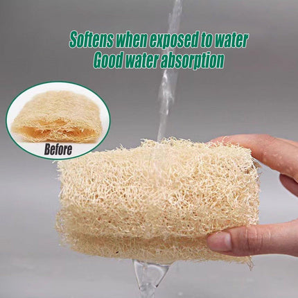 5Pcs Natural Loofah Luffa Loofa Exfoliating Shower Sponge Body Bath Scrubbers - Aimall