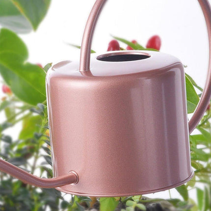 Large Capacity Metal Watering Kettle Retro Garden Spray Pot with Long Spout