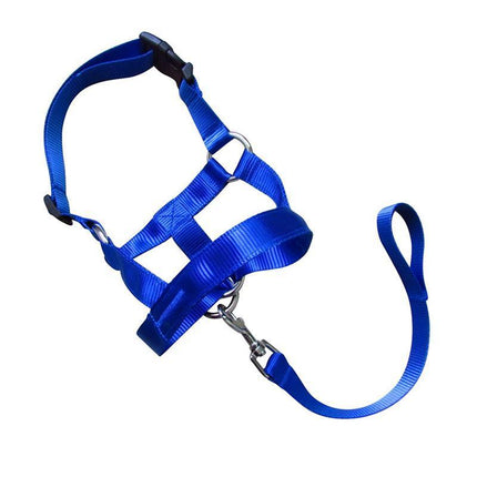 Blue Dog Training Head Collar Halter Stop Pulling Training Tool Harness Strap Leader - Aimall